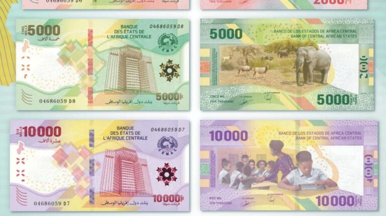 Les-nouvelles-coupures-objets-de-contrefacon-scaled-1