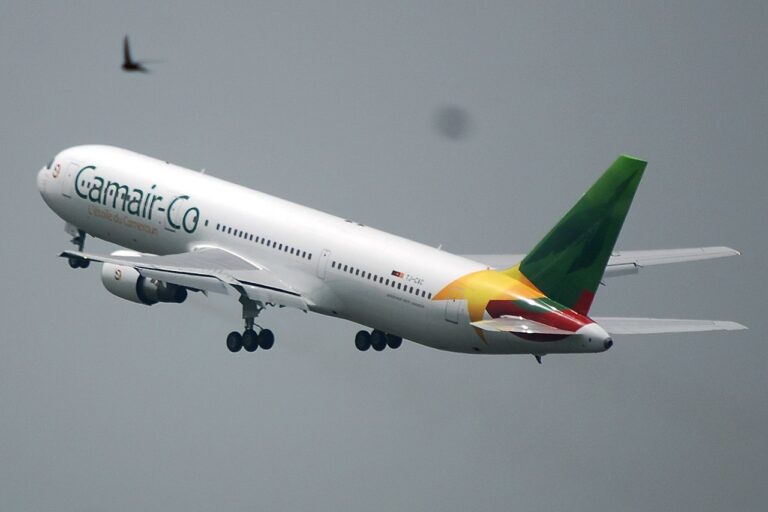 1280px-Avion_camerounais_dans_les_airs