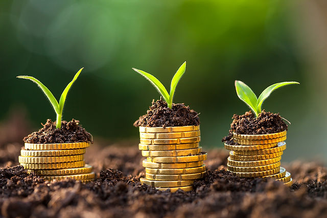 a19ff5_84b66ea2b1a443f99ecd86407440c0a7~mv2