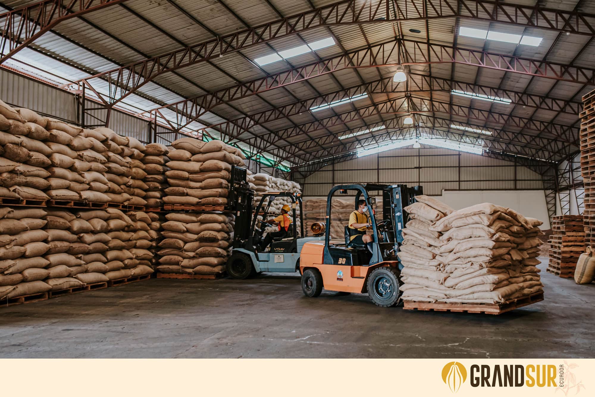 GrandSur almacenamiento de cacao para exportacion