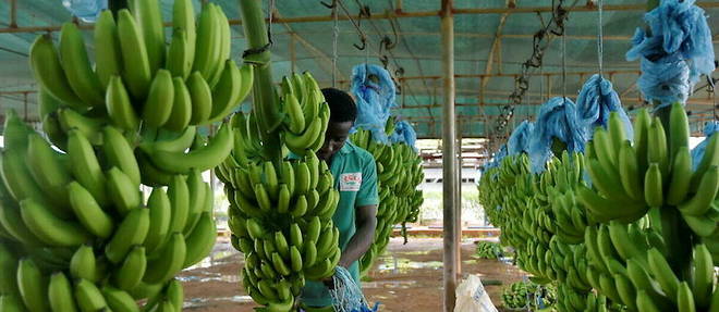 23740169lpw-23743771-article-jpg_9094414_660x287