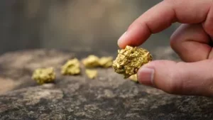 gettyimages-813603994