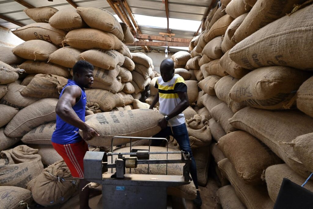 jad20240808-eco-sucden-developpement-afrique