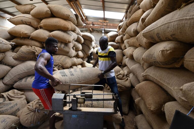 jad20240808-eco-sucden-developpement-afrique