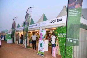 274872992_10224955306442822_551564031136456746_n