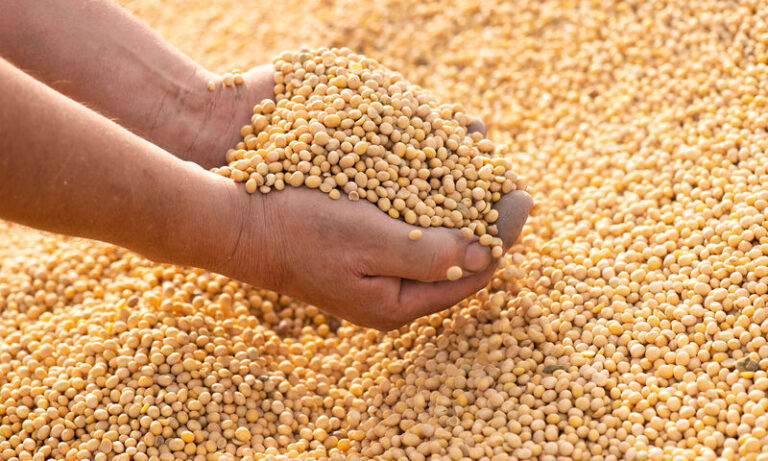 thumbnail_800x480px-137642(0)