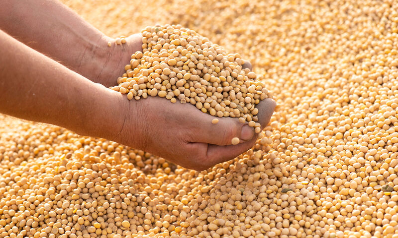 thumbnail_800x480px-137642(0)