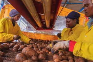 IMG_4141-Page-45-1200x800