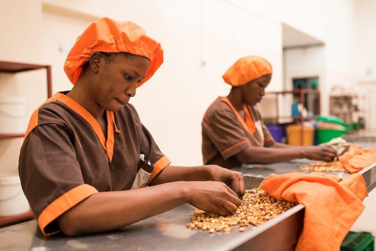 SENEGAL-2019-LysaCo-Teranga-Clement-Tardif-37-1500x1002