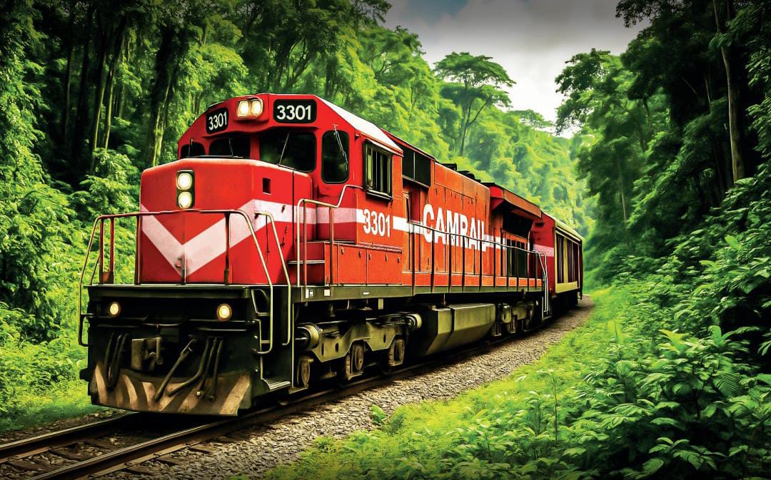 WhatsApp-Image-2025-06-06-at-14.12.08