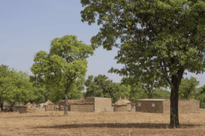 unnamed-2025-06-16T130834302