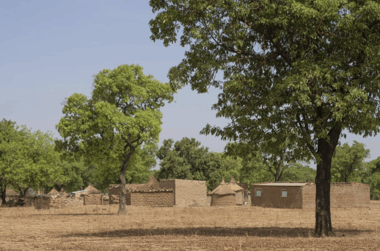 unnamed-2025-06-16T130834302