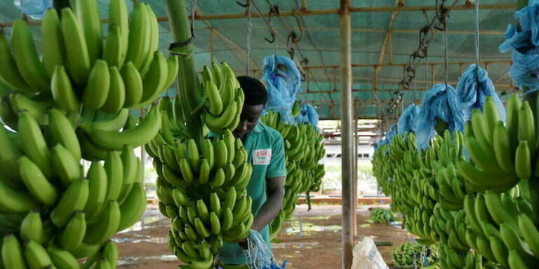 23740169lpw-23743771-article-jpg_9094414_1250x625