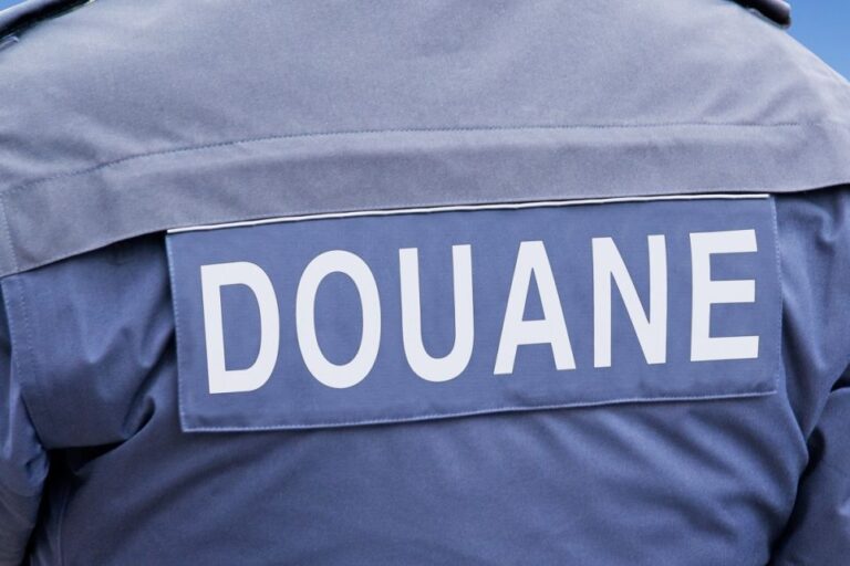 2747425-le-controleur-des-douanes-verifie-et-assure-le-respect-des-regulations-douanieres-original