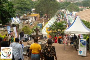 489283181_1194653232666565_8522479299530063275_n