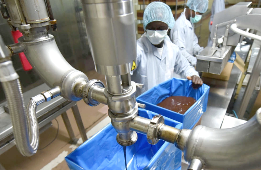 Transformation du Cacao