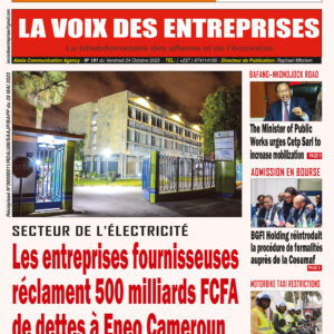 N°191 du Journal La Voix Des Entreprises