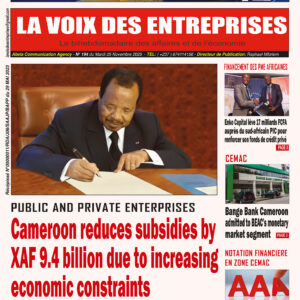 N°194 du journal La Voix Des Entreprises