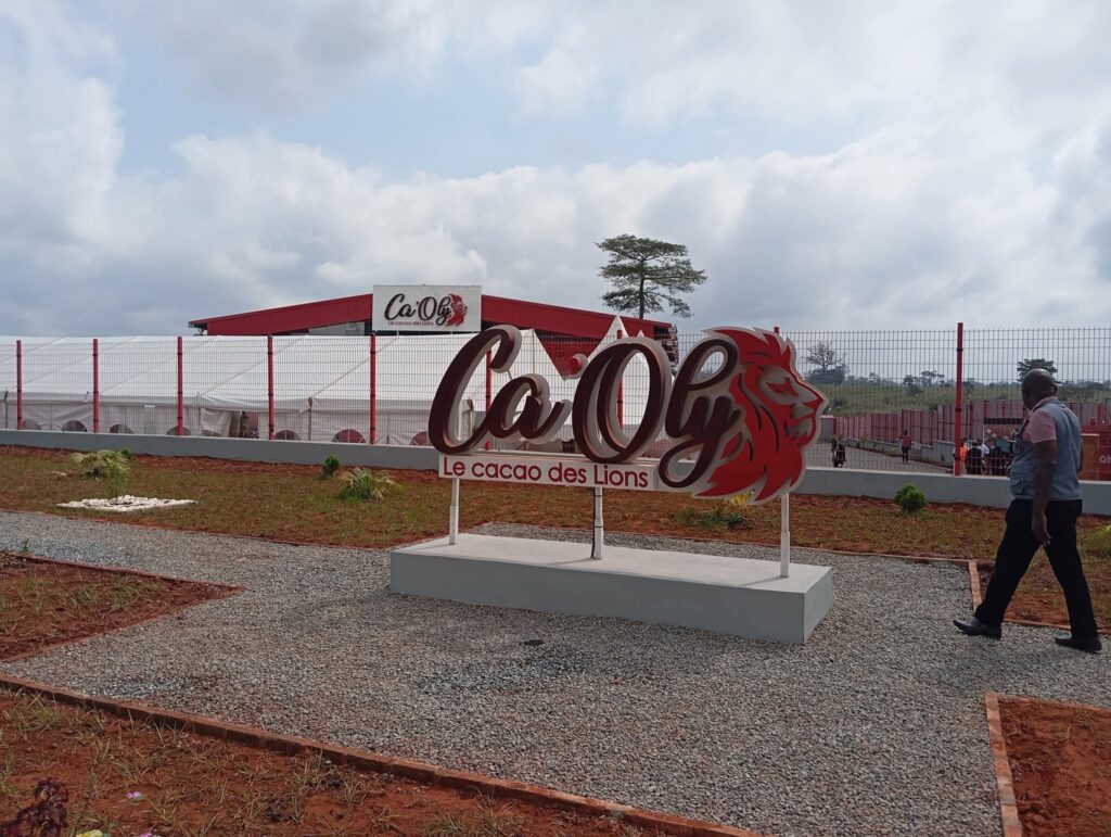 Africa Processing Company, LVDE