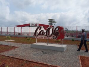 Africa Processing Company, LVDE