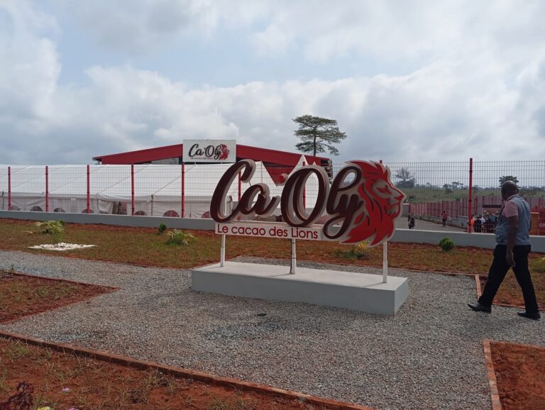 Africa Processing Company, LVDE