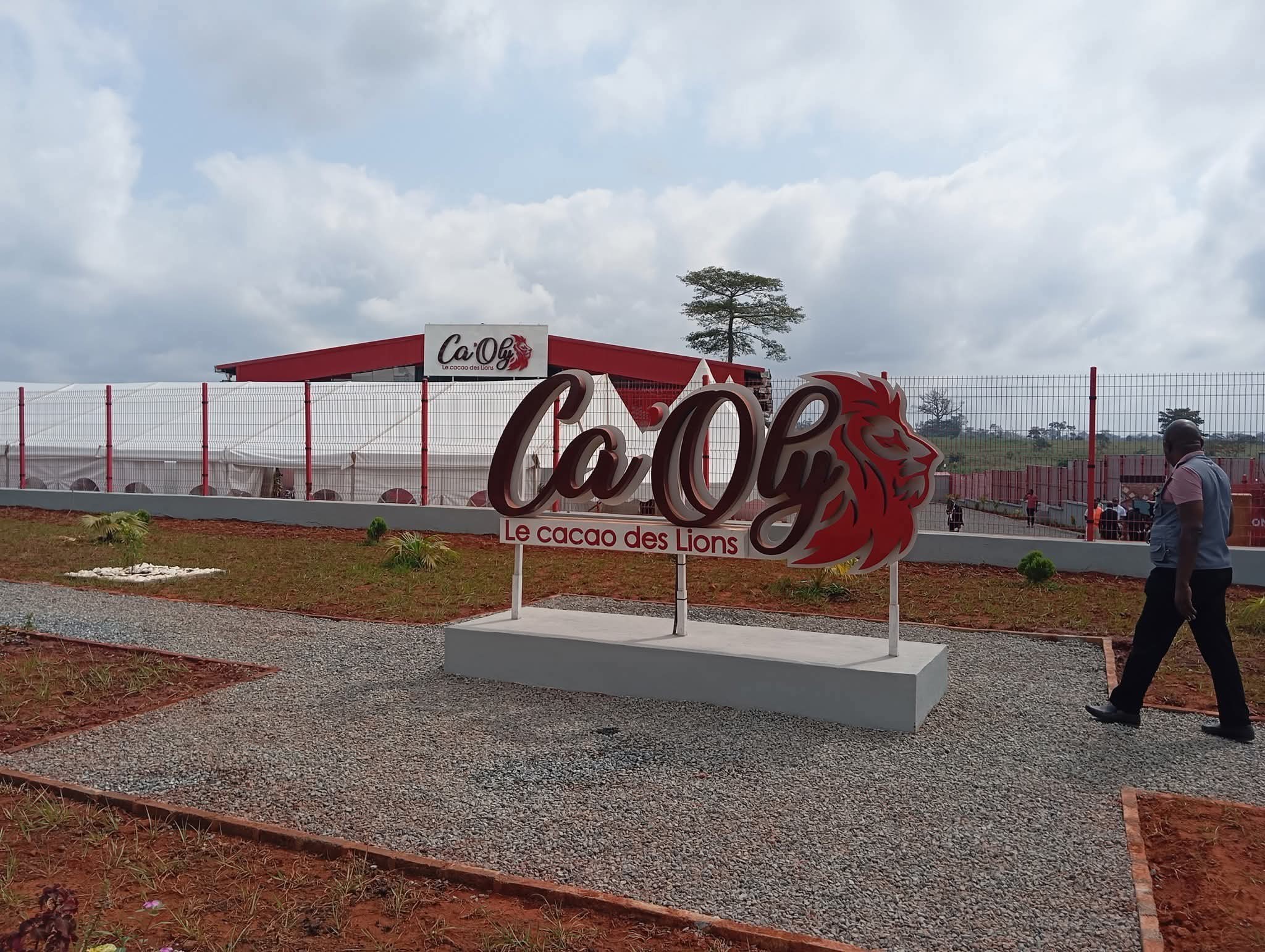 Africa Processing Company, LVDE