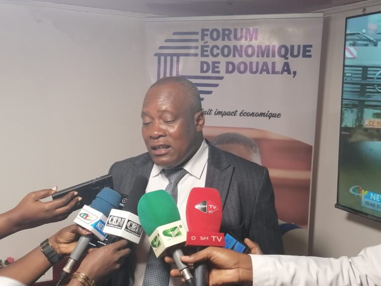Forum économique de Douala, LVDE