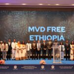 Marbug-1920-x-1280-px-2-1