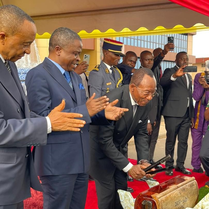 Emmanuel Nganou Djoumessi, MINT[