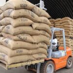 Stokage du cacao, LVDE