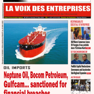N°217 du journal LA VOIX DES ENTREPRISES (LVDE)