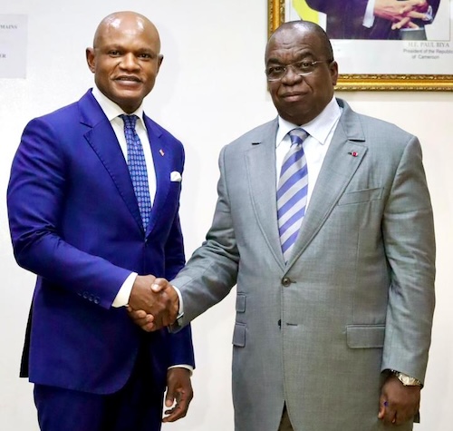 ACCESS BANK CAMEROUN