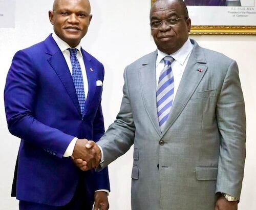 ACCESS BANK CAMEROUN