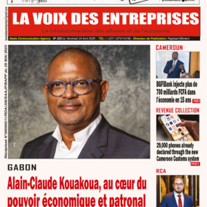 N°223 du journal LA VOIX DES ENTREPRISES (LVDE)