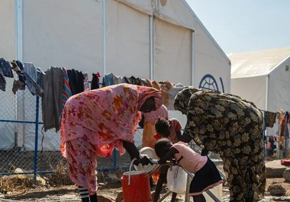 image1170x530cropped-4