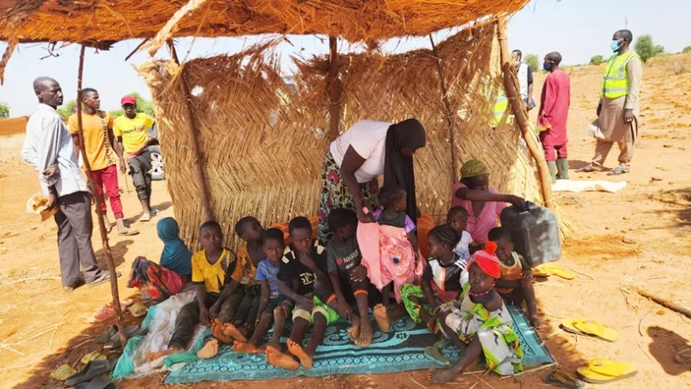 protect-children-help-women-restore-degraded-lands-niger-2