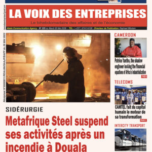 N°225 du journal LA VOIX DES ENTREPRISES (LVDE)