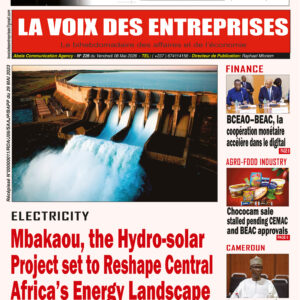 N°226 du journal LA VOIX DES ENTREPRISES (LVDE)