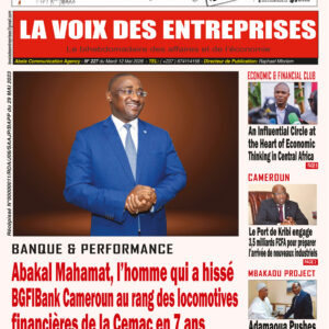 N°227 du journal LA VOIX DES ENTREPRISES (LVDE)