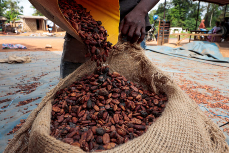 A worker fills a sack with cocoa beans as he prepares to gather unsold stocks of cocoa at the warehouse of Sekou Dagnogo, an independent cocoa buyer, in Fengolo