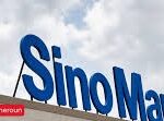 Sino Market 2
