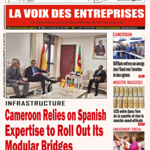 N°233 du journal LA VOIX DES ENTREPRISES (LVDE)