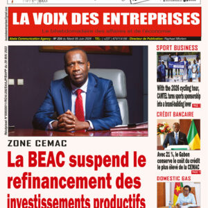 N°234 du journal LA VOIX DES ENTREPRISES (LVDE)