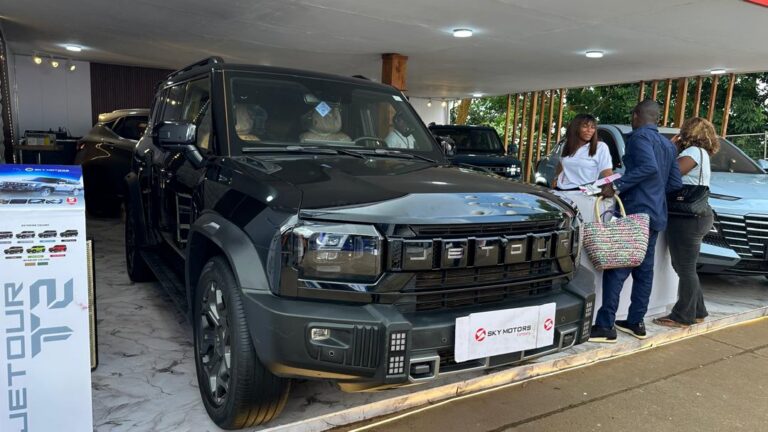 SKY MOTORS CM 1