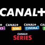 Canal+ a conforté la place du Cameroun parmi ses marchés africains les plus dynamiques