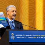 BAD-Cameroun-Epagne retraite-Financement de l economie-Capital productif