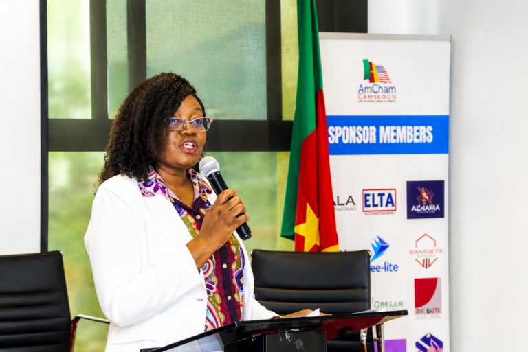 Participants au Business Climate Forum organisé à Yaoundé par l'ambassade des États-Unis et l'AmCham Cameroun pour débattre des réformes visant à attirer les investissements américains.