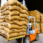 CAMEROUN – CACAO : Les exportations de fèves chutent de 63% à 400,9 milliards FCFA
