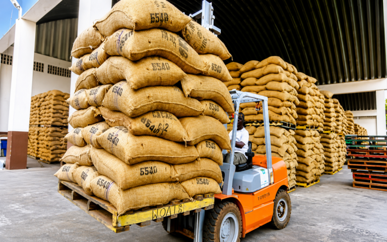 CAMEROUN – CACAO : Les exportations de fèves chutent de 63% à 400,9 milliards FCFA