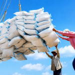 Le recul des importations de riz et de maïs allège la facture de 11 milliards FCFA